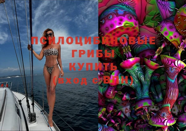 гашик Приозерск